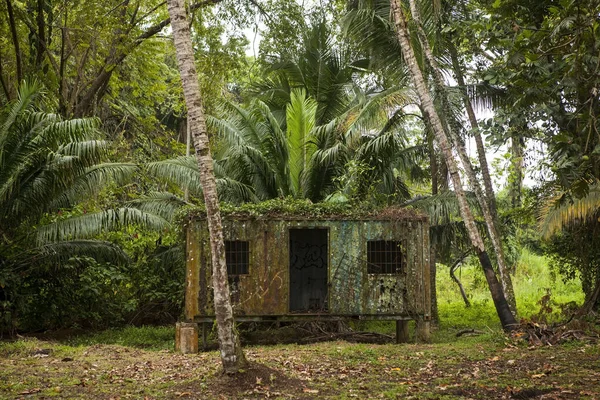 古いカリブ海の放棄された家 コスタリカのマンザニーリョ — ストック写真