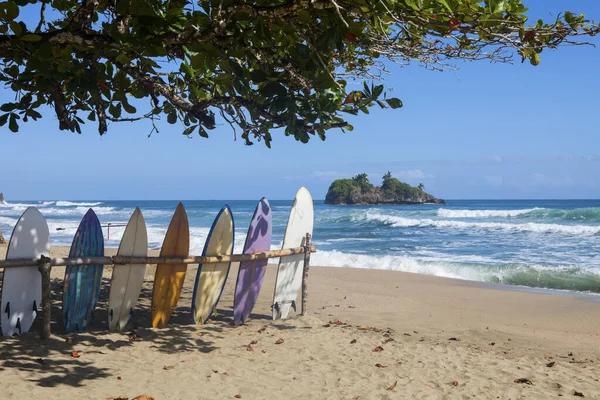 Bild Von Surfbrettern Playa Cocles Costa Rica — Stockfoto