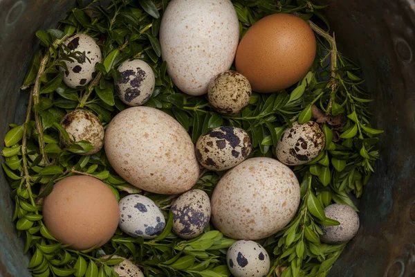 닭고기 칠면조 메추라기알을 그릇에 넣는다 부활절 — 스톡 사진