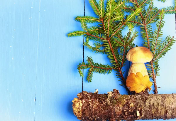 Белый гриб под елкой на деревянном фоне, плоский вид сверху на лесной покров книги журнала — стоковое фото