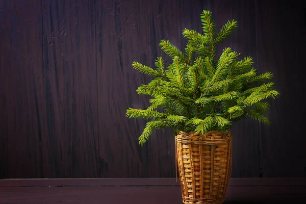 Árvore de Natal no inverno fundo retro de madeira — Fotografia de Stock