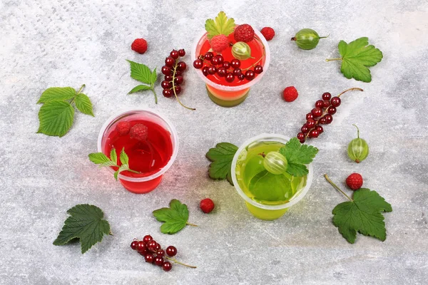 Berry dessert jelly pudding cream currants gooseberries raspberries — Stock Photo, Image