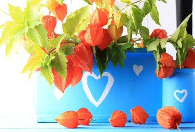 Sonbahar kırsal topluluk dekor el yapımı cam kavanoz ve renkli boya ahşap arka plan üzerinde sonbahar çiçek ile bir şişe