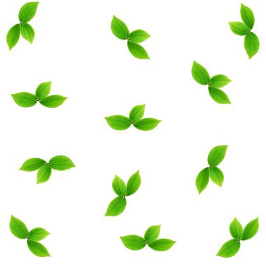 Beyaz arka plan üzerinde düz bir stilin üstten görünüm izole desen bırakır