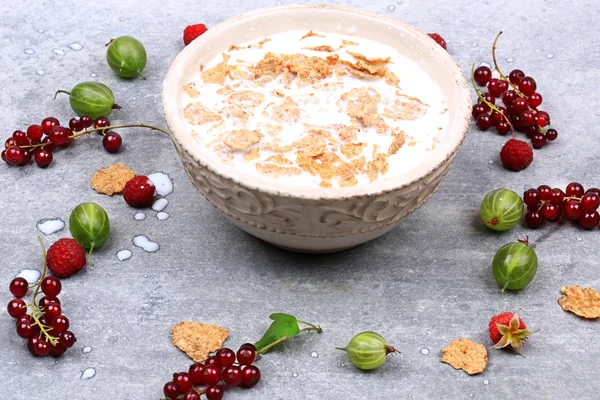 breakfast cereal with berries and milk