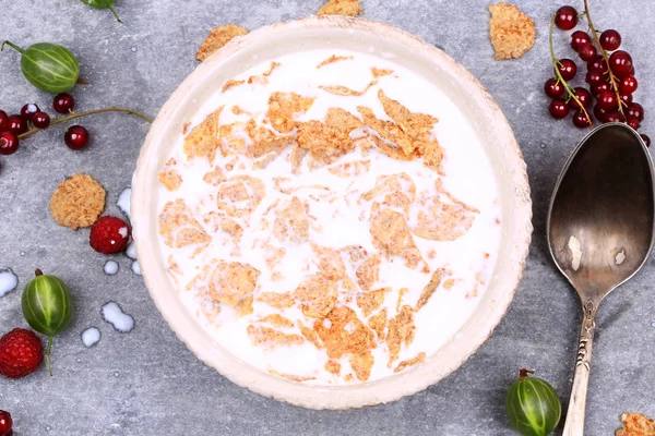 Frühstück Müsli mit Beeren und Milch — Stockfoto