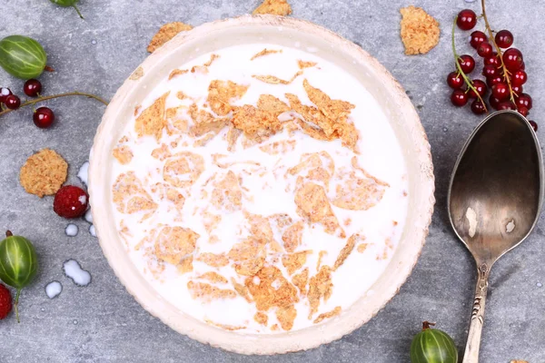 Frühstück Müsli mit Beeren und Milch — Stockfoto