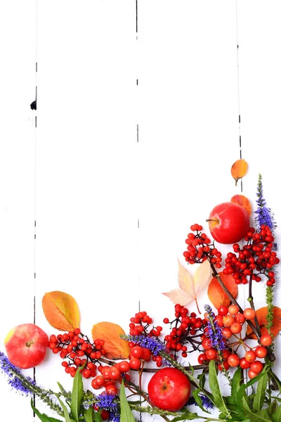 Herbst Booklet Arrangement von Beeren und Blumen auf weißem Holzhintergrund Ansicht von oben — Stockfoto