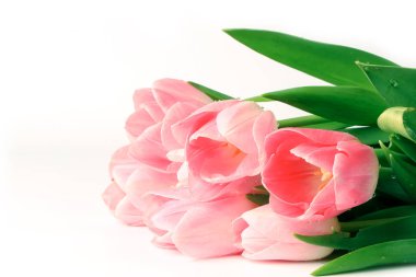 Pembe lalelerden oluşan bahar buketi