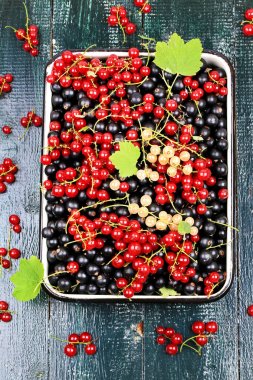 taze çilek Frenk üzümü sağlıklı kalp için yararlı mix somun blackcurrant beyaz üzümü