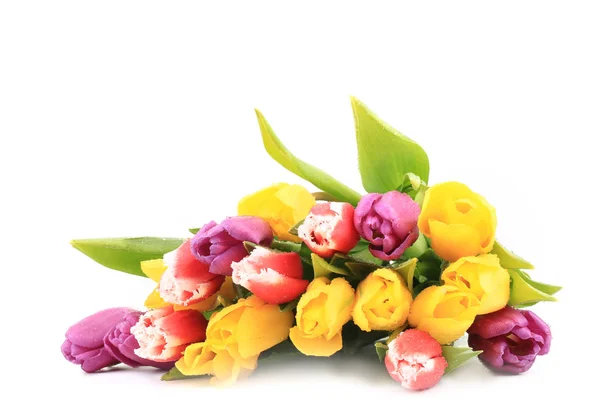 Buquê de tulipas coloridas na primavera isolado no fundo branco — Fotografia de Stock