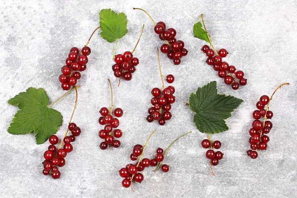 Frische Beerenmuster rote Johannisbeere mit Blättern gesundes Dessert — Stockfoto