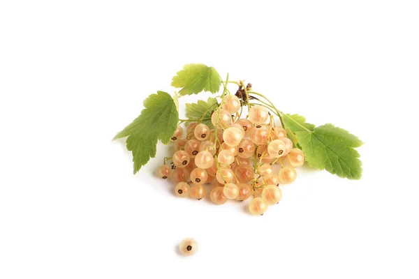 Vita vinbär isolerad på en vit bakgrund — Stockfoto