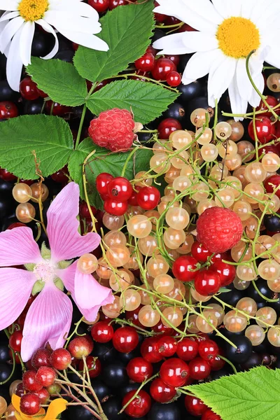 Świeże owoce i kwiaty. Lato na tle — Zdjęcie stockowe
