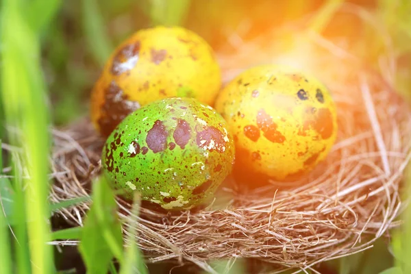 Osterhintergrund mit einem Nest mit einem bemalten Ei im Gras — Stockfoto