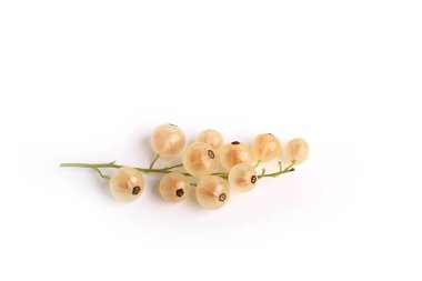 Beyaz bir arka plan üzerinde izole beyaz kuş üzümü