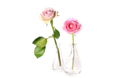 Beyaz bir arka plan üzerinde izole bir cam vazo içinde iki adet gül