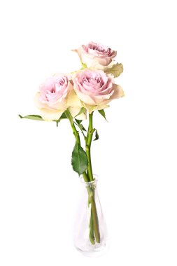 Eski püskü şık gül cam vazoda beyaz arka plan üzerinde izole