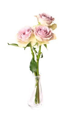 Eski püskü şık gül cam vazoda beyaz arka plan üzerinde izole