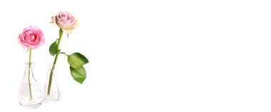Beyaz bir arka plan üzerinde izole bir cam vazo içinde iki adet gül