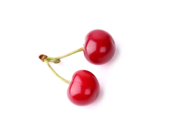 Cereza aislada sobre fondo blanco — Foto de Stock