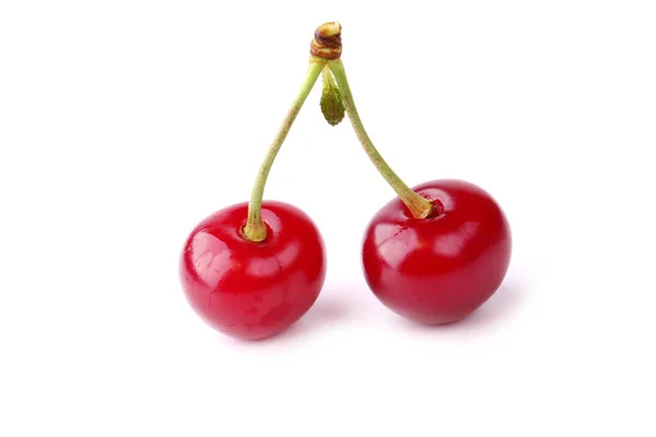 Cherry izolované na bílém pozadí — Stock fotografie