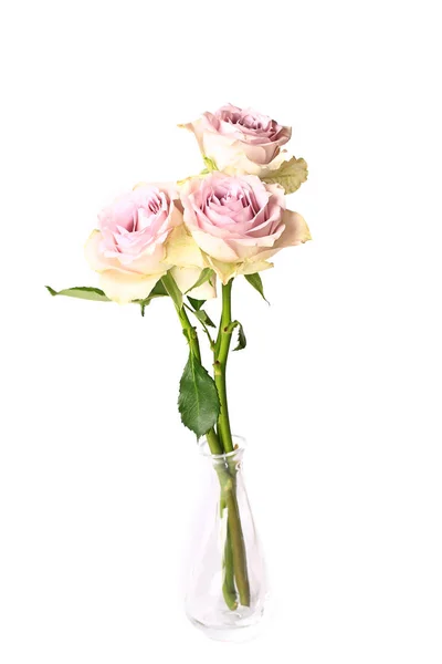 Shabby chic roses in a glass vase isolated on white background — Stock Photo, Image