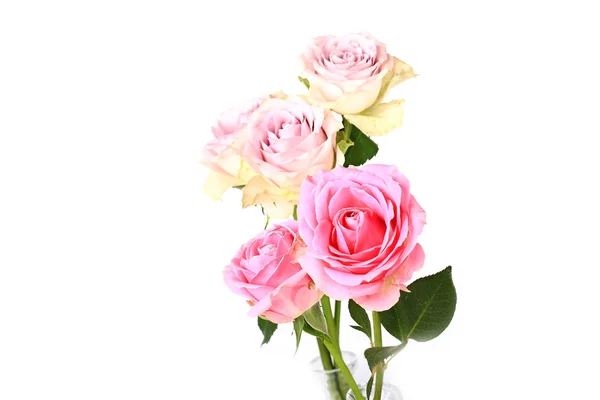 Розовые розы изолированы на белом фоне селективного мягкого фокуса — стоковое фото