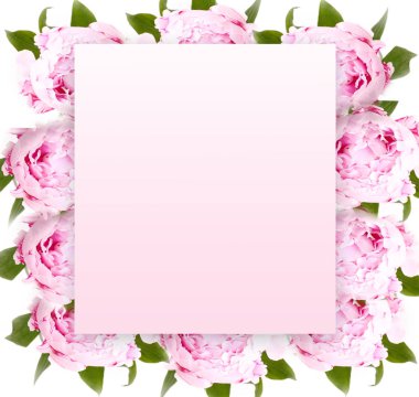 Çiçek süslemeli yaratıcı bir düzen. Şakayık çiçekleri. Çiçek deseni. Düz yatıyordu. Doğa konsepti