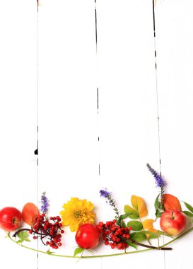 Beyaz ahşap bir arka planda çiçekli ve dutlu sonbahar kompozisyonu