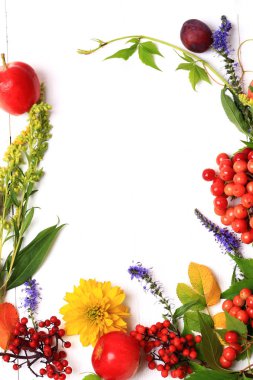 Beyaz ahşap bir arka planda çiçekli ve dutlu sonbahar kompozisyonu