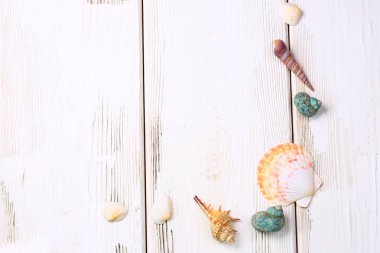 Beyaz ahşap zemin üzerinde kabukları