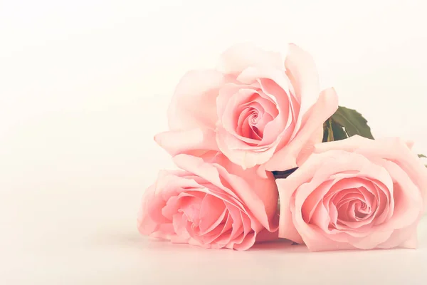 Sfondo delicato di rose rosa — Foto Stock