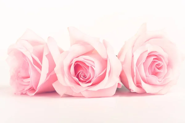 Мягкий фон из розовых роз — стоковое фото