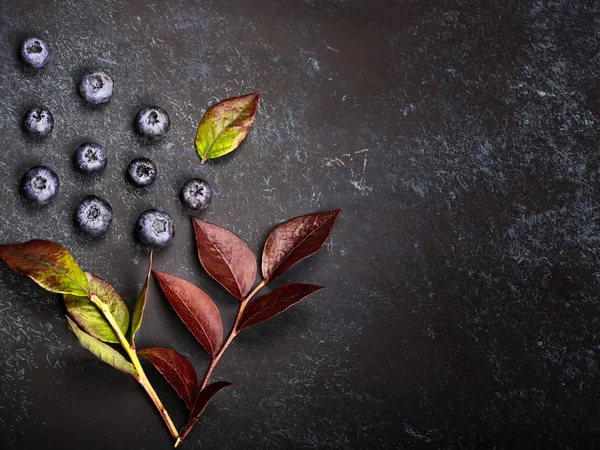 Blaubeeren Hintergrund, kreativer Herbst Hintergrund mit Beeren von Blaubeeren und Blättern. Blick von oben. Muster — Stockfoto