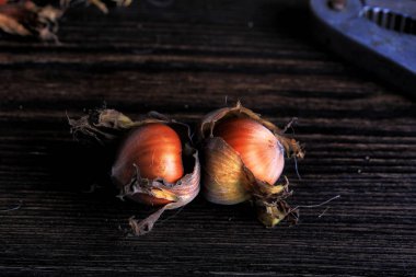 Koyu bir geçmişe sahip fındık kabukları.