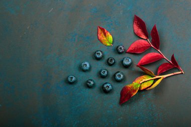 Koyu arkaplanda yaprakları olan yabanmersini. güzel sonbahar arkaplanı