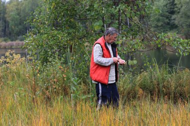 Bataklıkta böğürtlen toplayan yaşlı bir adam