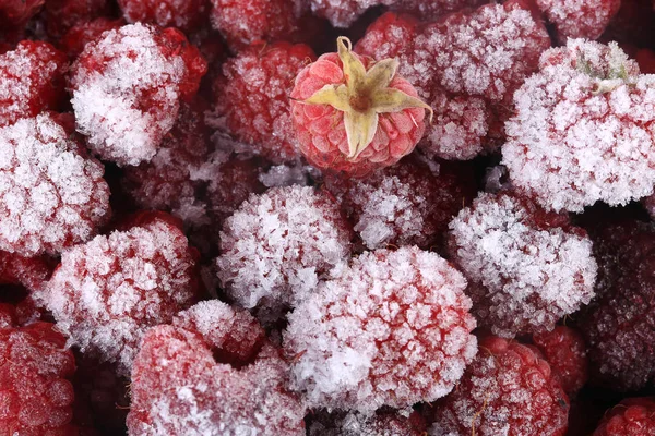 frozen raspberry, vitamin food
