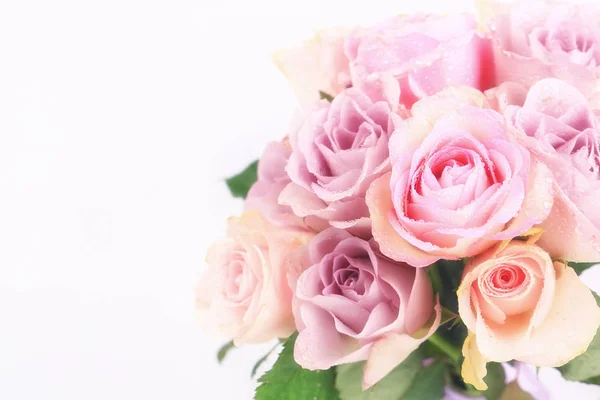 Bouquet of delicate roses on a white background — Stock Photo, Image