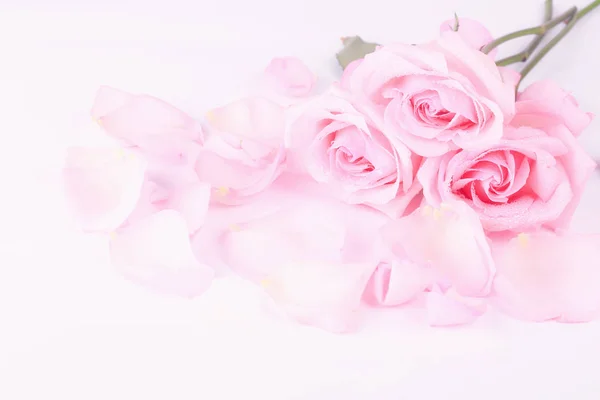 Букет бледно-розовых роз с лепестками на светлом фоне. фон для открыток на День Святого Валентина — стоковое фото