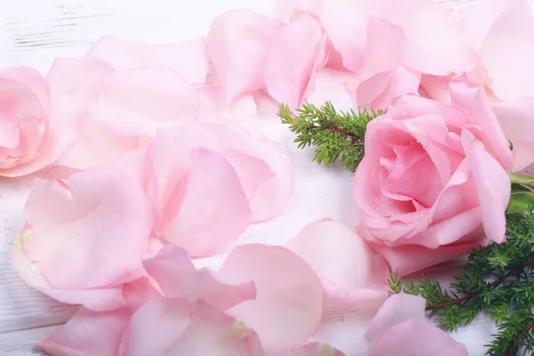 Розовые розы на светлом фоне — стоковое фото