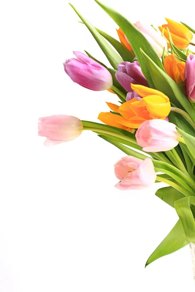 Jasny kolorowy bukiet tulipanów. wiosna kolorowe kwiaty izolowane na białym tle — Zdjęcie stockowe