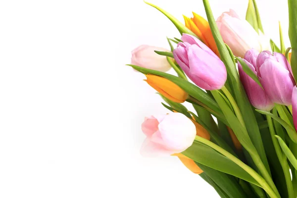Jasny kolorowy bukiet tulipanów. wiosna kolorowe kwiaty izolowane na białym tle — Zdjęcie stockowe