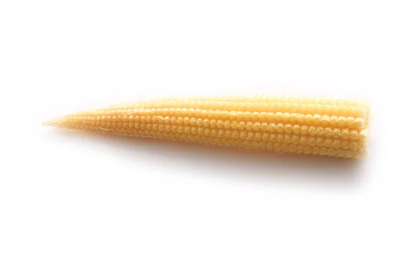 Small Corn White Background — Stock Photo, Image
