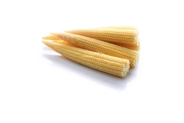 Beyaz arkaplanda küçük mısır