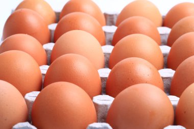 Beyaz arka planda izole edilmiş tavuk yumurtaları. Sağlıklı yemek.