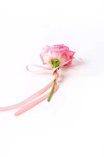 Rosa rosa com fita rosa isolado no fundo branco . — Fotografia de Stock