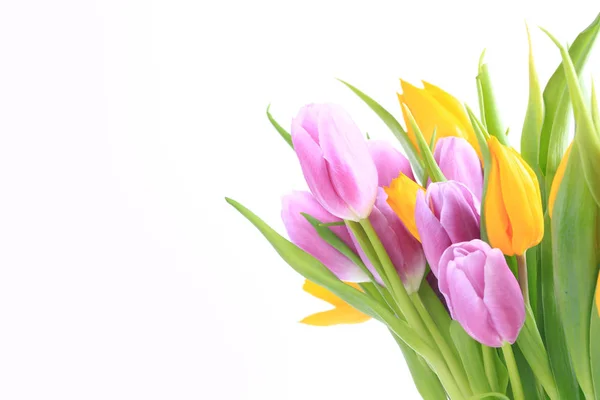Bukiet wielobarwnych tulipany na białym tle. — Zdjęcie stockowe