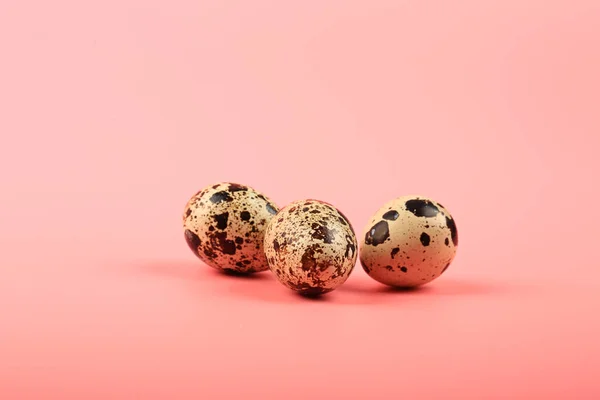 Tres huevos de codorniz sobre un fondo rosa — Foto de Stock